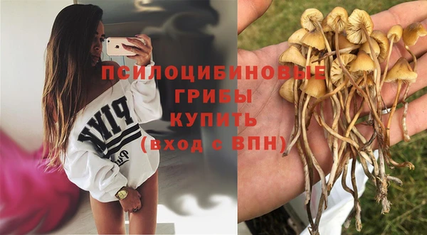 герыч Бородино