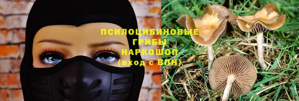 метадон Богданович