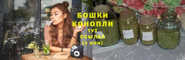 метадон Богданович