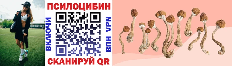 где купить наркоту  Гурьевск  Галлюциногенные грибы Magic Shrooms 